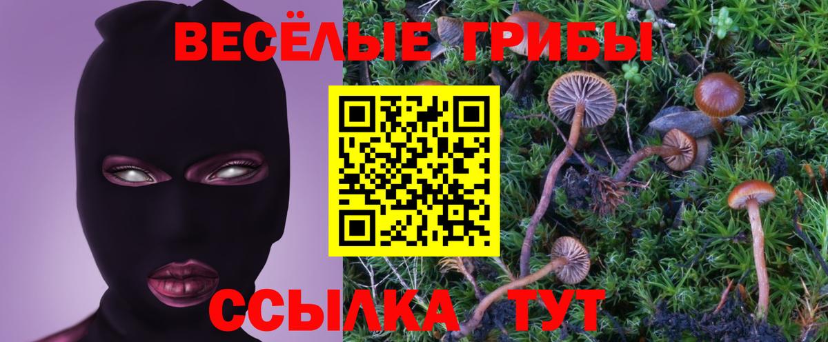 Галлюциногенные грибы прущие грибы  Вход с VPN  Псилоцибиновые грибы прущие грибы  Кыштым 